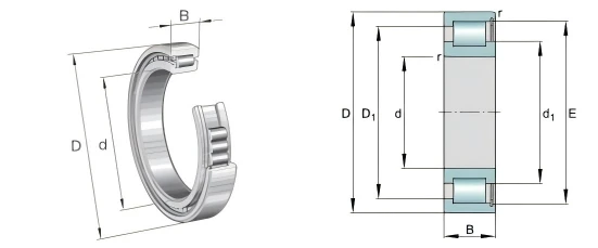 Available SL182236 Single Row Full Complement Cylindrical Roller Bearings